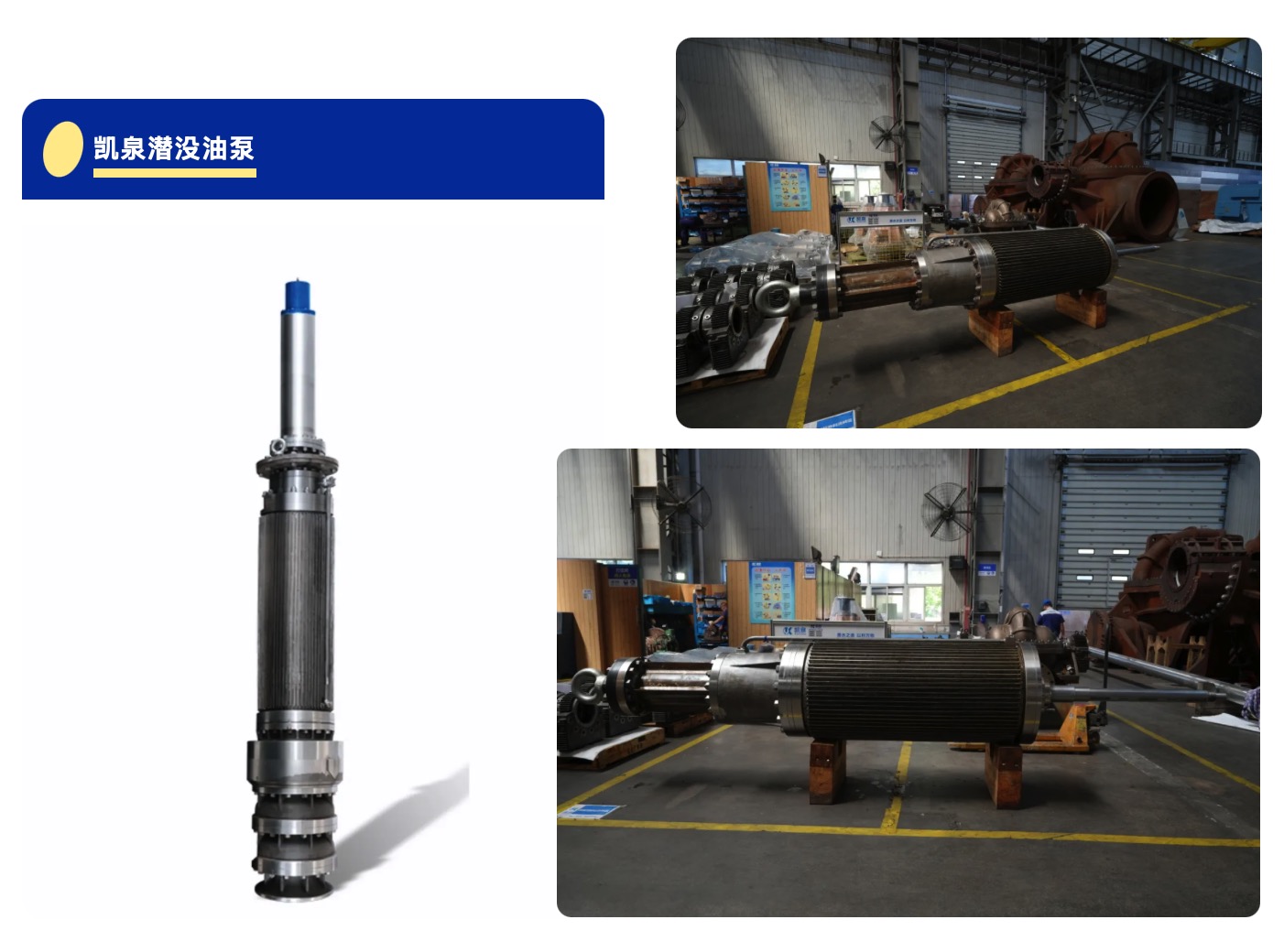 WechatIMG12035